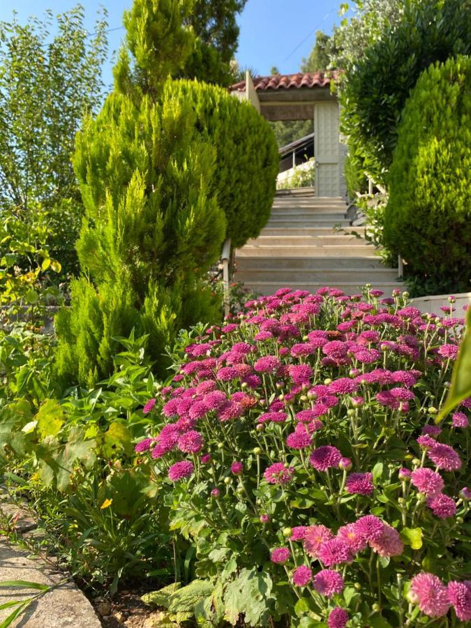 Marl'S Home Берат Экстерьер фото